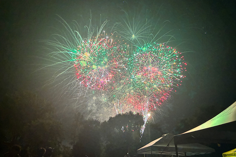 Green Red Yellow Fireworks