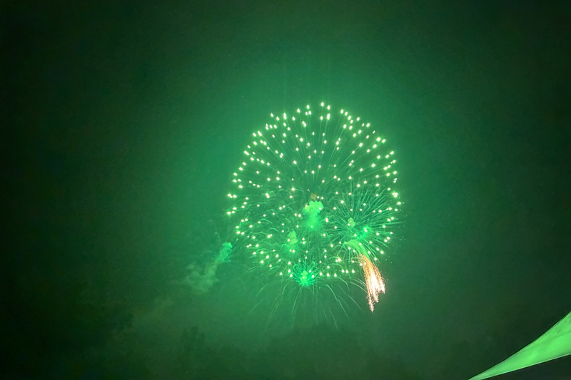 Lightgreen Firework