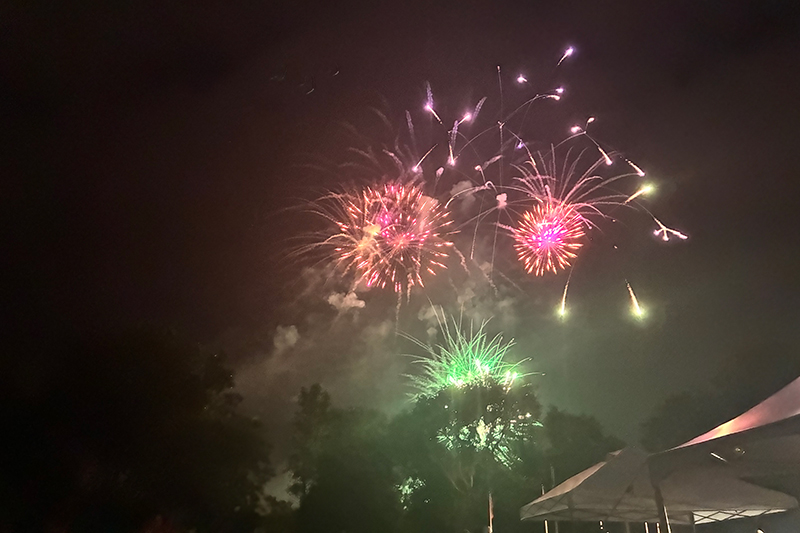 Pink Green Fireworks