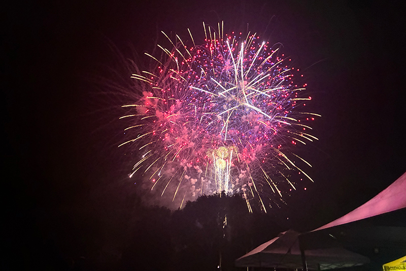 Pinkish Yellow Burst Firework
