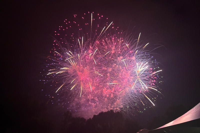 Purple Yellow Burst Firework